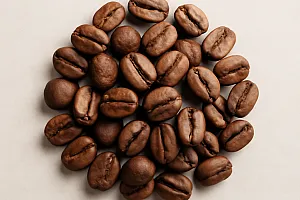 Arabica