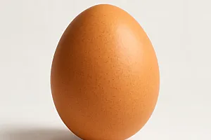 Freilandei