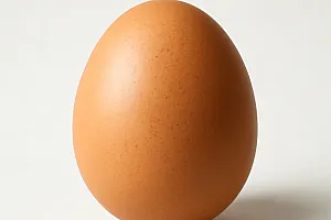 Hühnerei (Bodenhaltung)