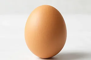 Hühnerei Größe M