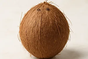 Kokosnuss