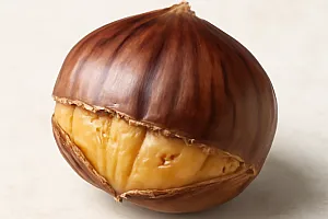 Esskastanie / Maroni